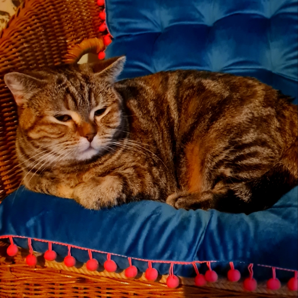 Meet your Posher, Margaret